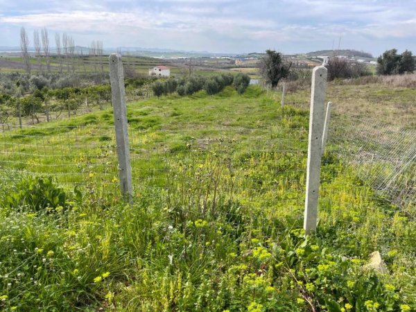 Durres, shitet toke bujqesore , 2.000 m² 120.000 € (Manez)