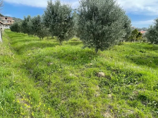 Durres, shitet toke bujqesore , 2.000 m² 120.000 € (Manez)