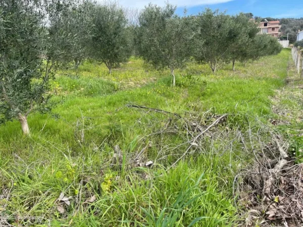 Durres, shitet toke bujqesore , 2.000 m² 120.000 € (Manez)