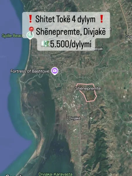 Divjake, shitet toke , 4.000 m² (Shënepremte, Divjakë)