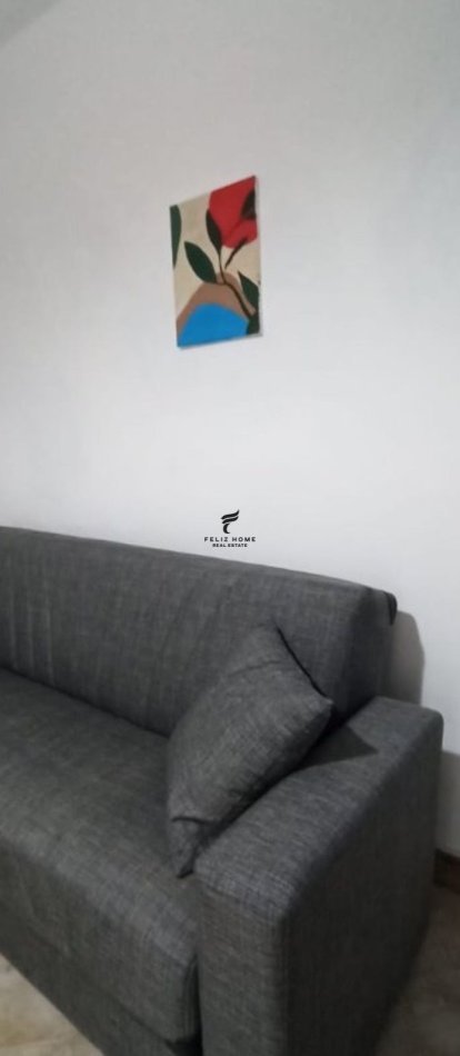 Tirane, jepet me qera garsonier Kati 1, 45 m² 300 € (MUHAMET GJOLLESHA)