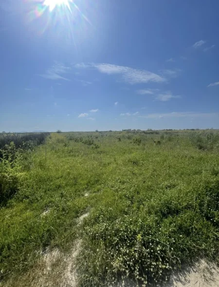 Vlore, shitet truall , 5.000 m² 197.000 € (akerni vlore)