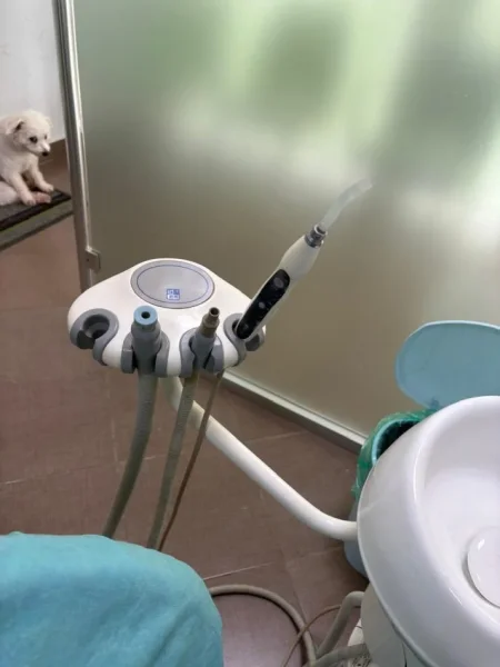 Tirane, Shitet paisje dentare firma Jessy Italiane