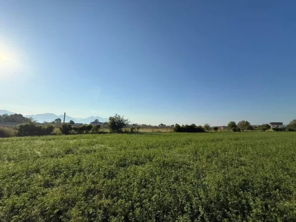 Tirane, shes truall , 7.436 m² (Rinas, Prane Aeroportit, Tirane)