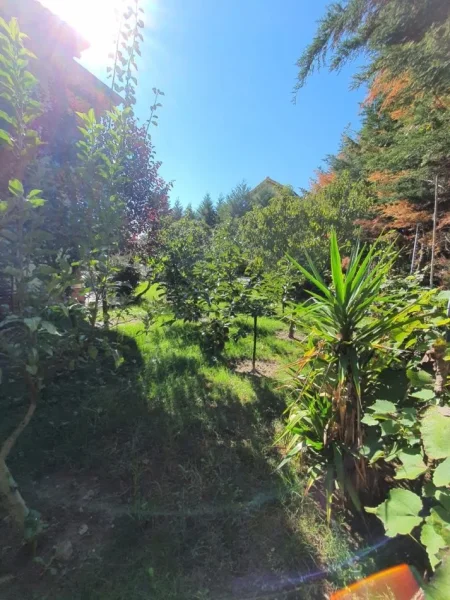 Tirane, shes Vile 2 Katshe Kati 1, 1.000 m² 350.000 € (peze e vogel)