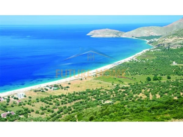 Borsh, shitet toke , 2.545 m² 636.000 € (Borsh)