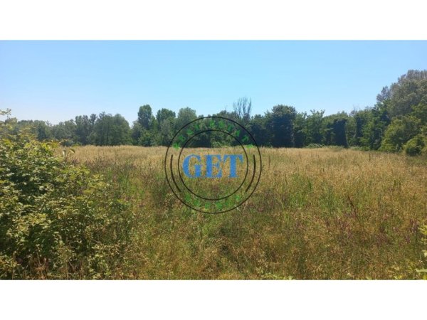 Tirane, shitet toke , 5.000 m² 400.000 € (Rinas)