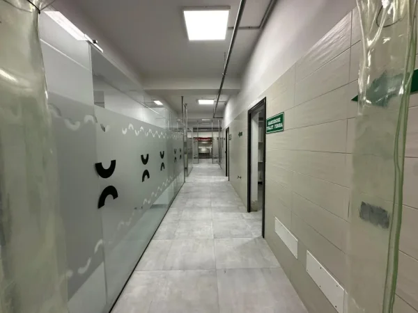 Tirane, jepet me qera magazine Kati -1, 1.200 m² 8.000 € (kthesa e kamzes)