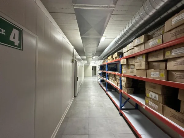 Tirane, jepet me qera magazine Kati -1, 1.200 m² 8.000 € (kthesa e kamzes)