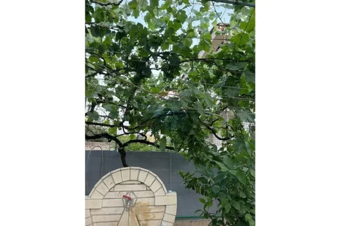 Tirane, shitet Vile , 220.000 € (Paskuqan)