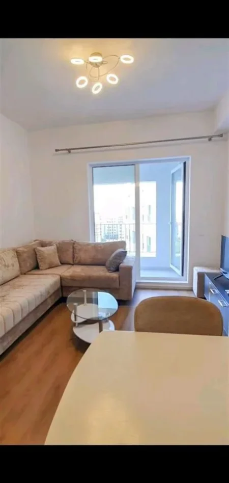 Tirane, jepet me qera apartament 1+1 Kati 5, 450 € (Ali dem)