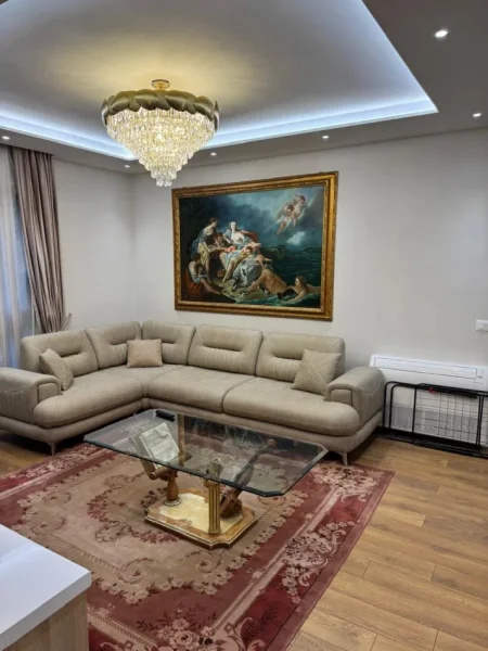 APARTAMENT  1+1 ME QIRA  750 € LIQENI ARTIFICIAL