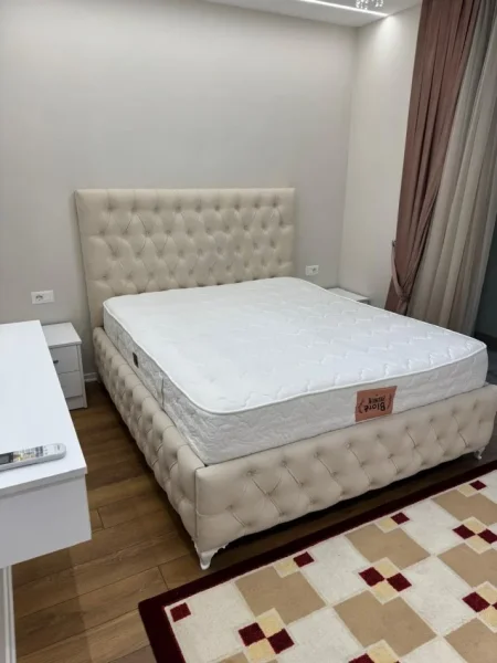 APARTAMENT  1+1 ME QIRA  750 € LIQENI ARTIFICIAL
