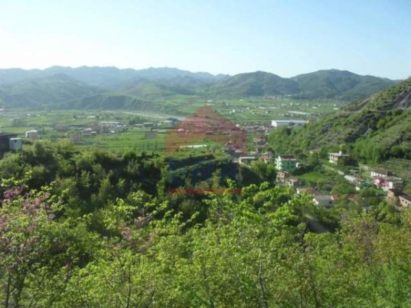 Tirane, shes toke 9.000 m² Euro (Peze)