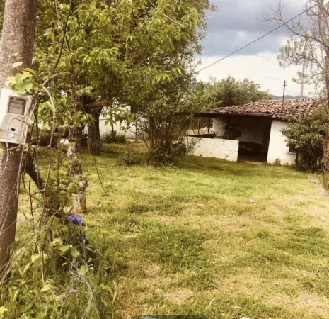 Tirane, shitet truall , 300 m² 100.000 € (Azem Galica)