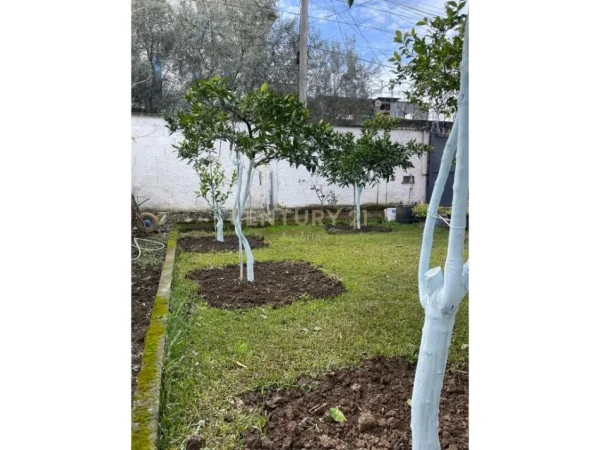 Tirane, shes Vile 3+1+Ballkon Kati 2, 268 m² 350.000 € (Rruga teodor keko)