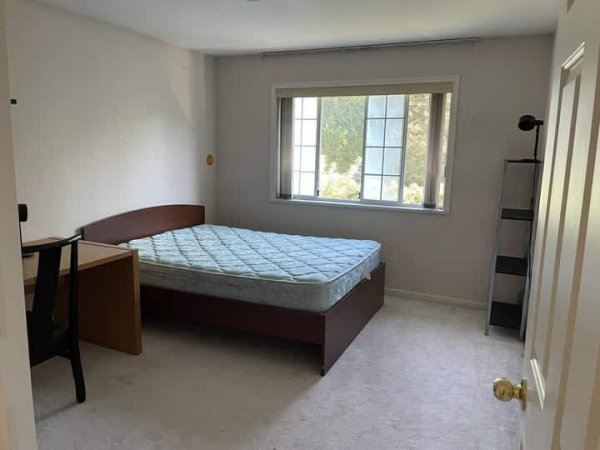 Tirane, shes apartament 1+1 Kati 0, 54 m² 75.000 € (bill klinton)