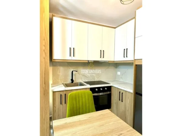 Tirane, jepet me qera garsonier 1+1 Kati 4, 45 m² 500 € (Komuna e Parisit)