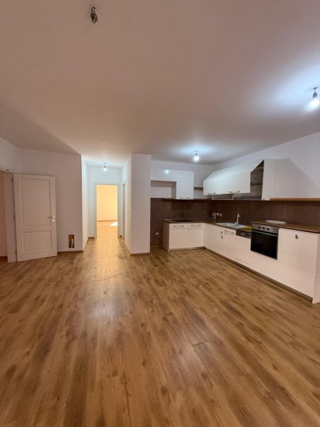 Jepet me qira apartament 2+1, Kompleksi Deliorgji