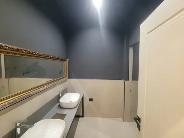 Tirane, shitet ambjent biznesi Kati 0, 222 m² 266.000 € (Rruga Muhamed Deliu)