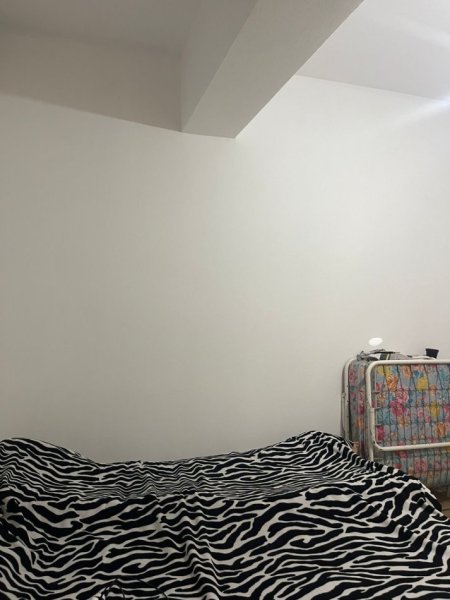 Tirane, jepet me qera 1+1 Kati 1, 60 m² 280 € (Rruga Irfan Tershana)