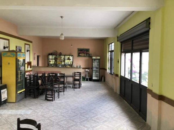 Tirane, jepet me qera lokal Kati 0, 120 m² 35.000 Leke (Rrethrrotullimi i Saukut)