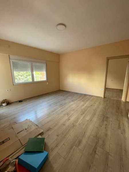 88ac3339-3dff-4e93-b734-e324572bb1a2.jpg