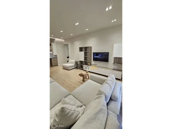 Tirane, shitet apartament 3+1+Ballkon Kati 1, 118 m² 290.000 € (Liqeni Thate)