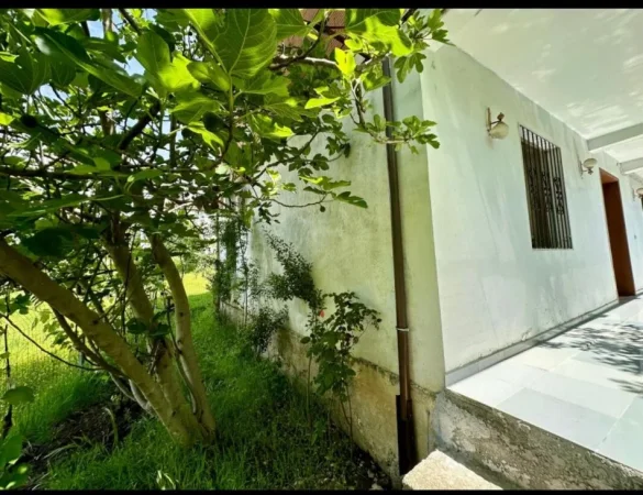 Tirane, shitet shtepi 3+1+Ballkon Kati 2, 282 m² 135.000 € (Liqeni i Paskuqanit)