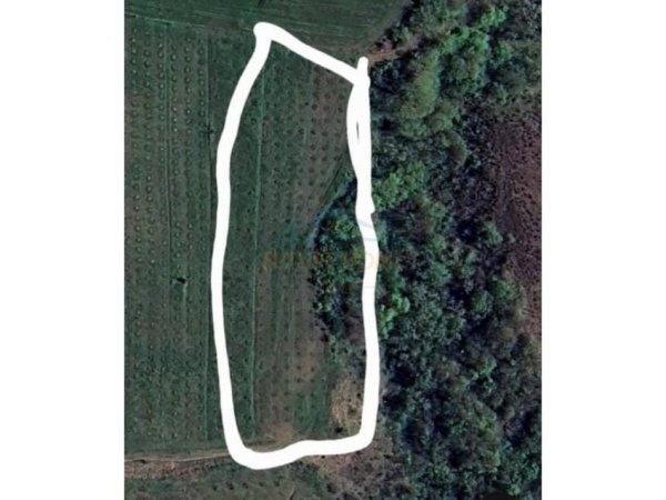 Tirane, shitet toke , 6.750 m² 18.000.000 € 