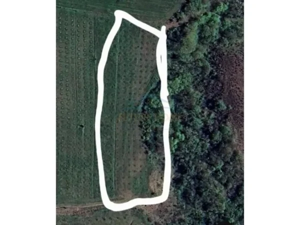 Tirane, shitet toke , 6.750 m² 18.000.000 € 