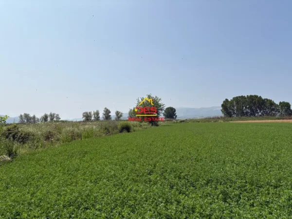 Vlore, shitet toke , 8.400 m² 120.000 € (Çeprat)