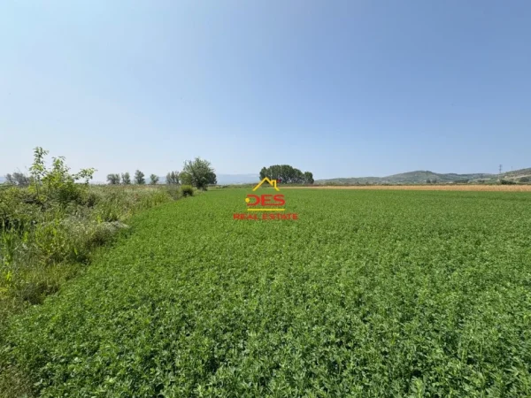 Vlore, shitet toke , 8.400 m² 120.000 € (Çeprat)