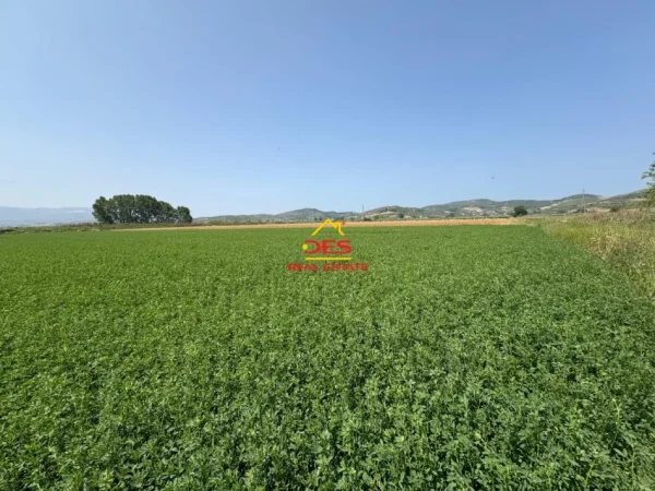 Vlore, shitet toke , 8.400 m² 120.000 € (Çeprat)