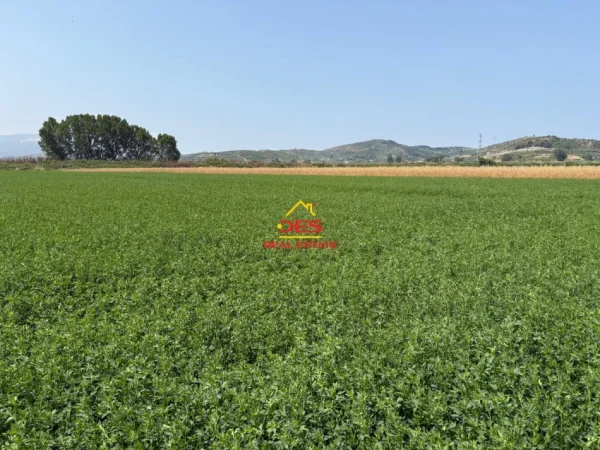 Vlore, shitet toke , 8.400 m² 120.000 € (Çeprat)