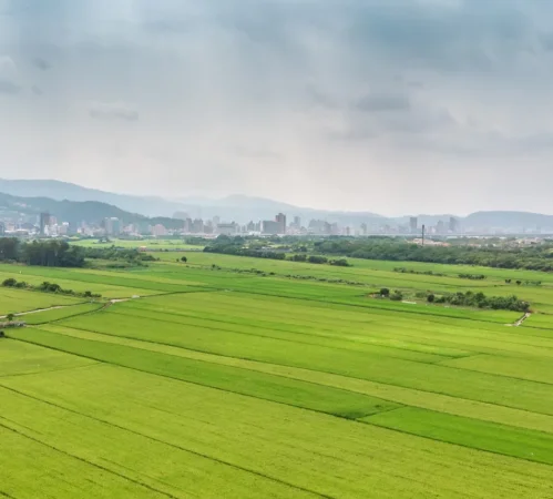 🔺️SHITET TOKE NE SHKOZE🔺️ 110.000 € (SHKOZE)