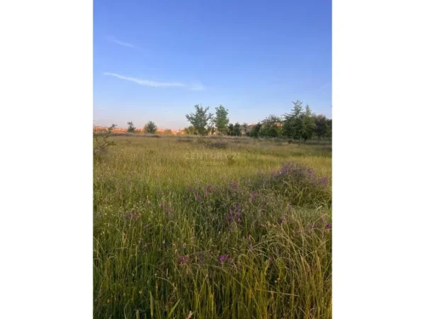 Tirane, shitet toke , 500 m² 90.000 € (Farke)