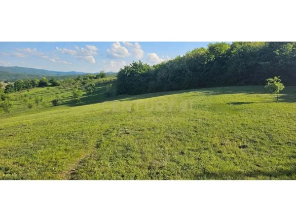 Tirane, shes toke , 1.000 m² 50.000 € (Mushqeta)