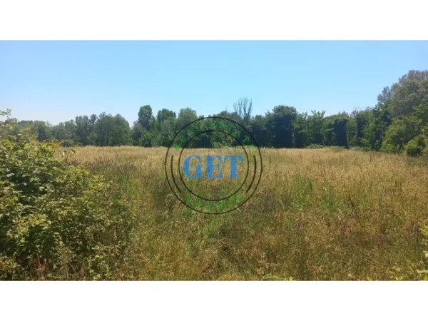 Tirane, shitet truall , 5.000 m² (Rinas Tirane)