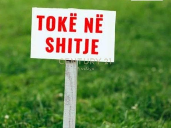 Tirane, jepet me qera truall , 10.300 m² 