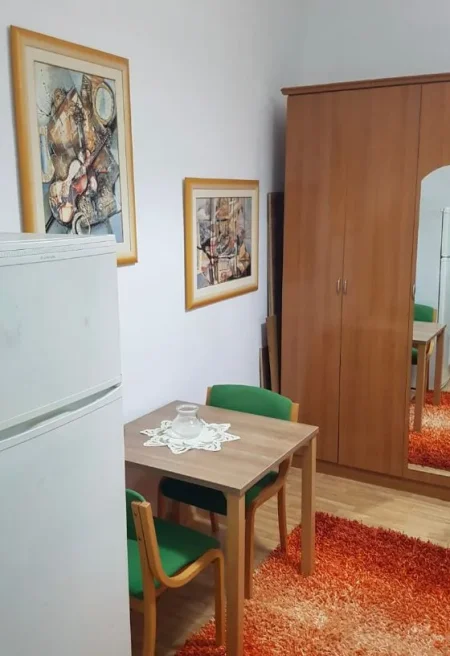 Tirane, jepet me qera garsonier Kati 2 ,320 € (Prane Klinikes Ortodokse)