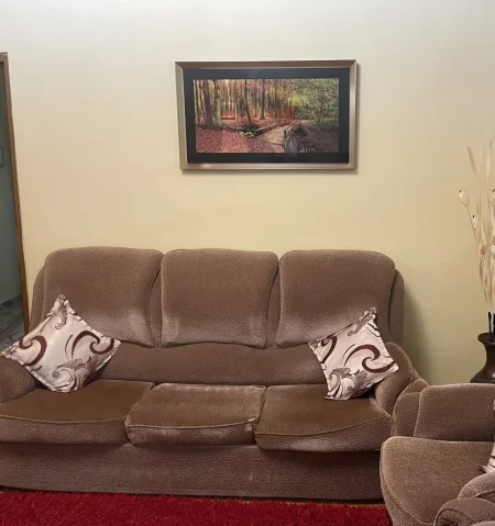 Fier, shes Set kolltuqe+1 divan kanape, jastiqe dhe tavoline 300 €.Te perdorura dhe ne kushte te mira.