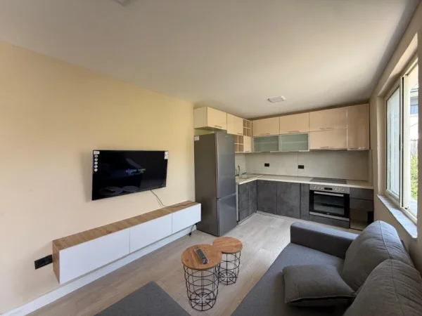 Tirane, jepet me qera apartament 2+1 Kati 1, 100 m² 470 € (selite)