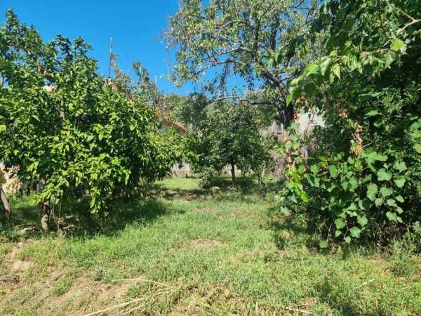 Berat, shes shtepi 1 Katshe , 750 m² 95.000 € (Qender)