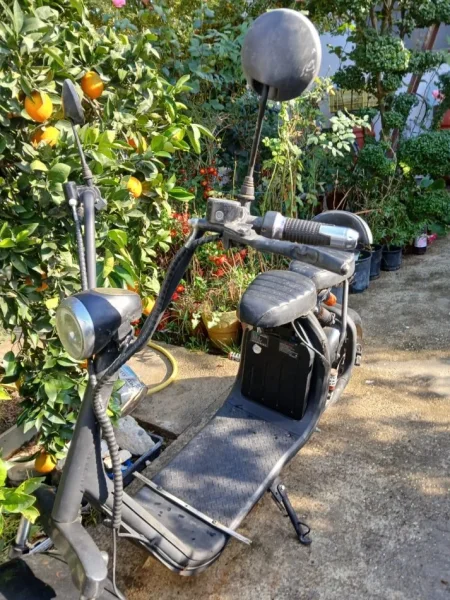 Fier, shitet Scooter motor elektrik city coco Harley , e zeze 40000 lek