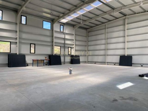 Tirane, jepet me qera ambjent biznesi 435 m² 3.000  (sauk)