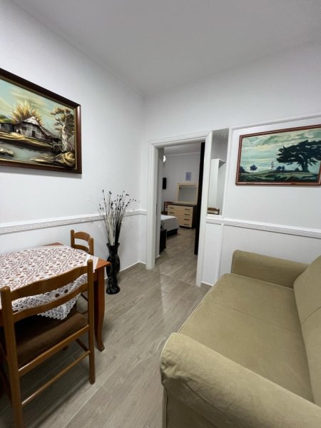 Tirane, jepet me qera garsonier Kati 0, 45 m² 500 € (Pazari i Ri)