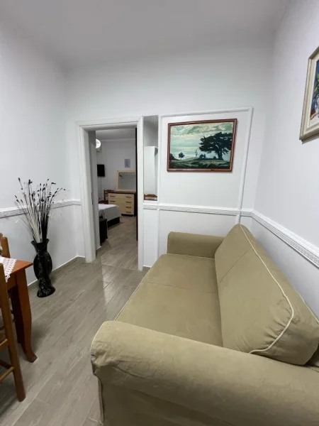 Tirane, jepet me qera garsonier Kati 0, 45 m² 500 € (Pazari i Ri)