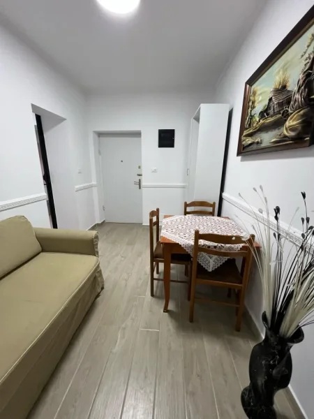 Tirane, jepet me qera garsonier Kati 0, 45 m² 500 € (Pazari i Ri)