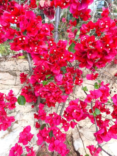 Sarande, dhome ne plazh